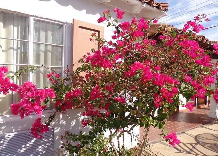 Historic Coronado Motor By Oyo Motel 3*